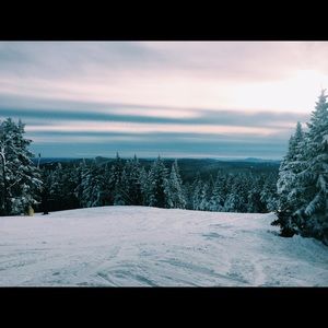 Meet your Posher, Nadja